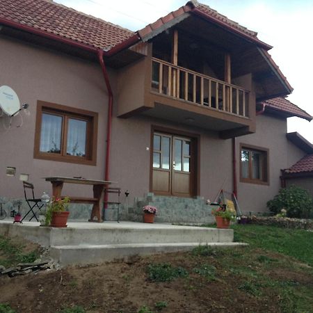 Willa Casa Darius Novaci-Străini Zewnętrze zdjęcie
