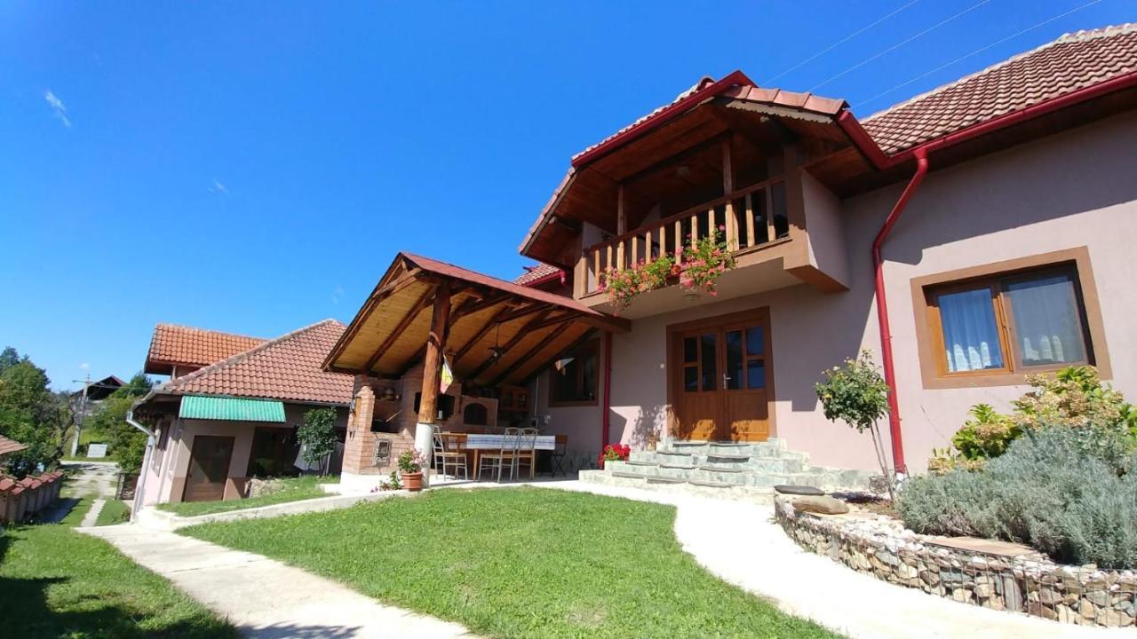 Willa Casa Darius Novaci-Străini Zewnętrze zdjęcie