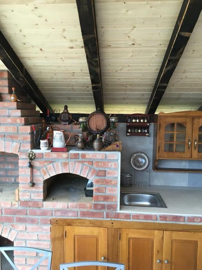 Willa Casa Darius Novaci-Străini Zewnętrze zdjęcie