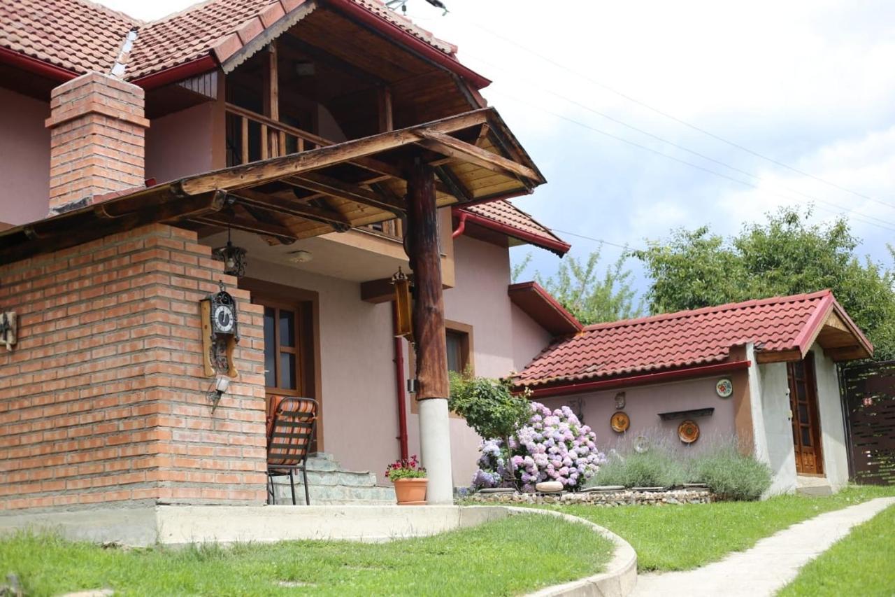 Willa Casa Darius Novaci-Străini Zewnętrze zdjęcie