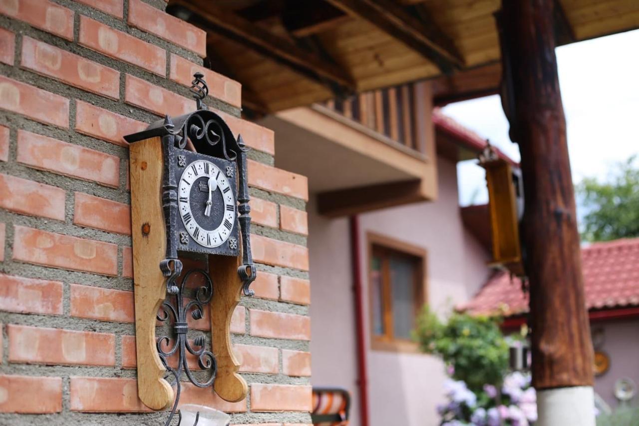 Willa Casa Darius Novaci-Străini Zewnętrze zdjęcie