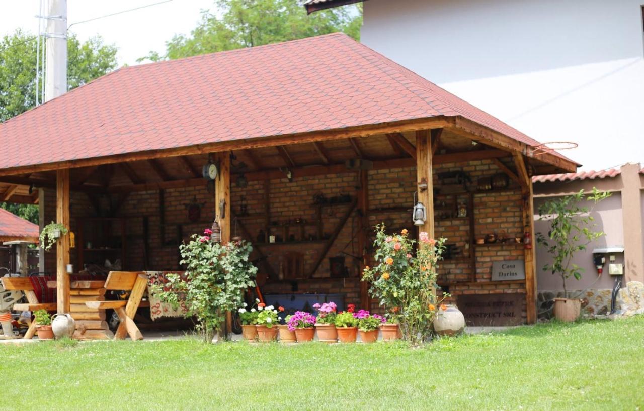 Willa Casa Darius Novaci-Străini Zewnętrze zdjęcie