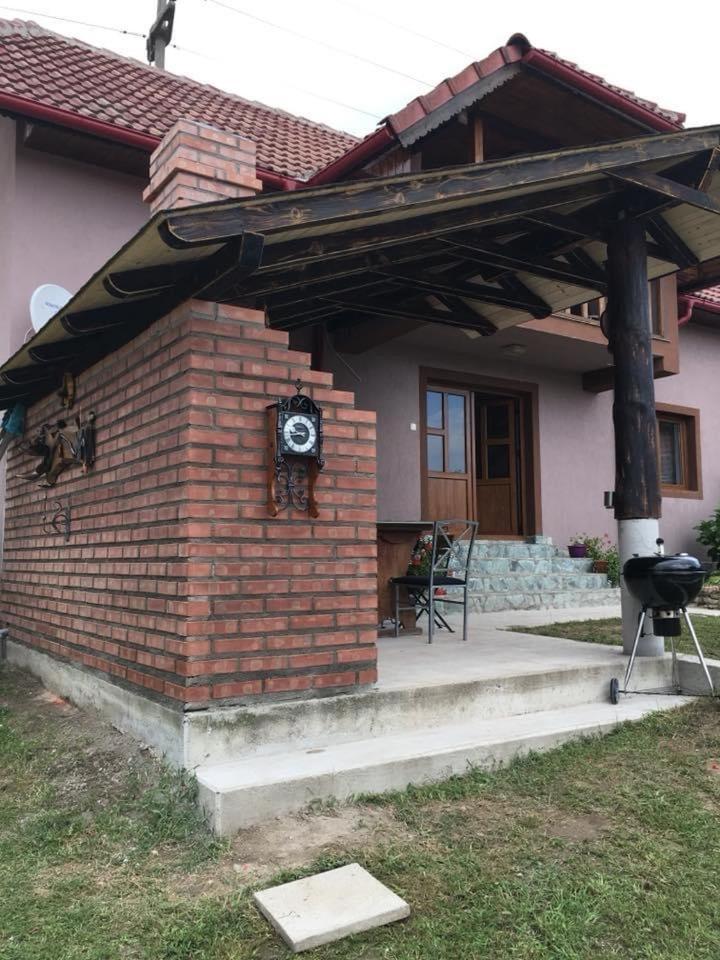 Willa Casa Darius Novaci-Străini Zewnętrze zdjęcie