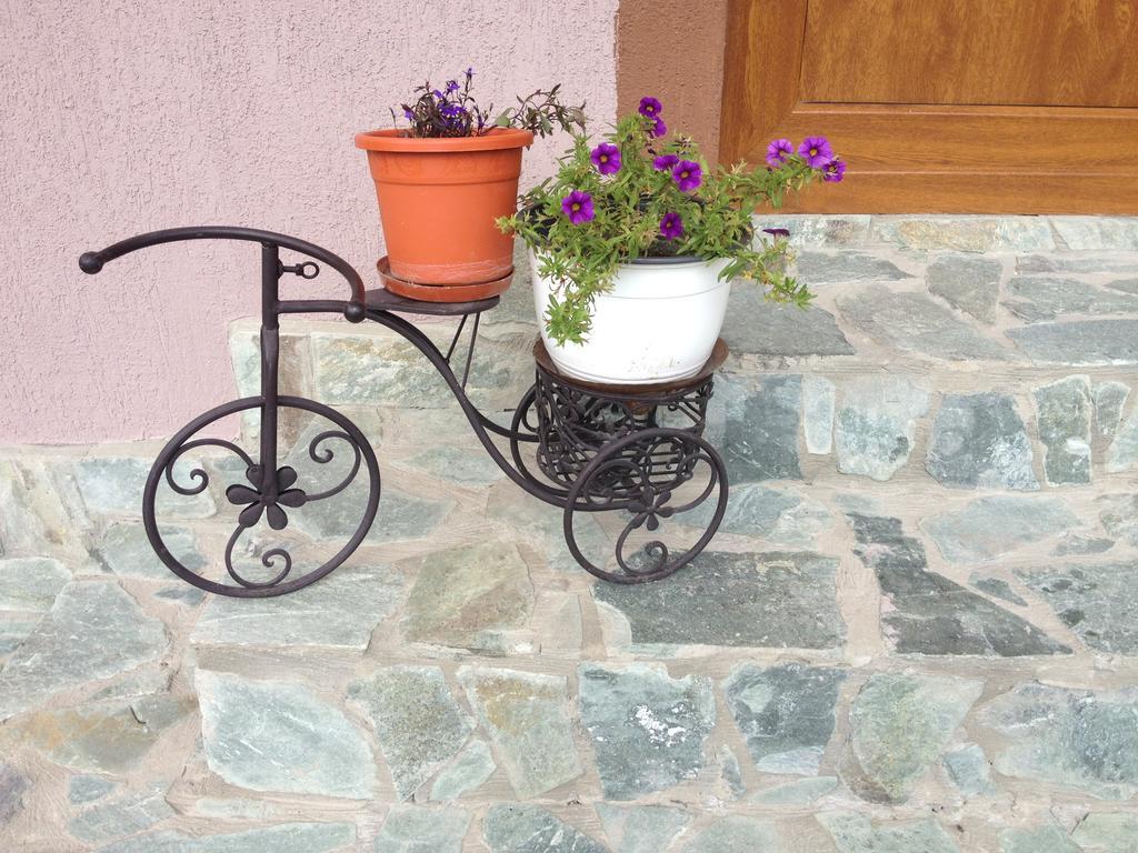 Willa Casa Darius Novaci-Străini Zewnętrze zdjęcie