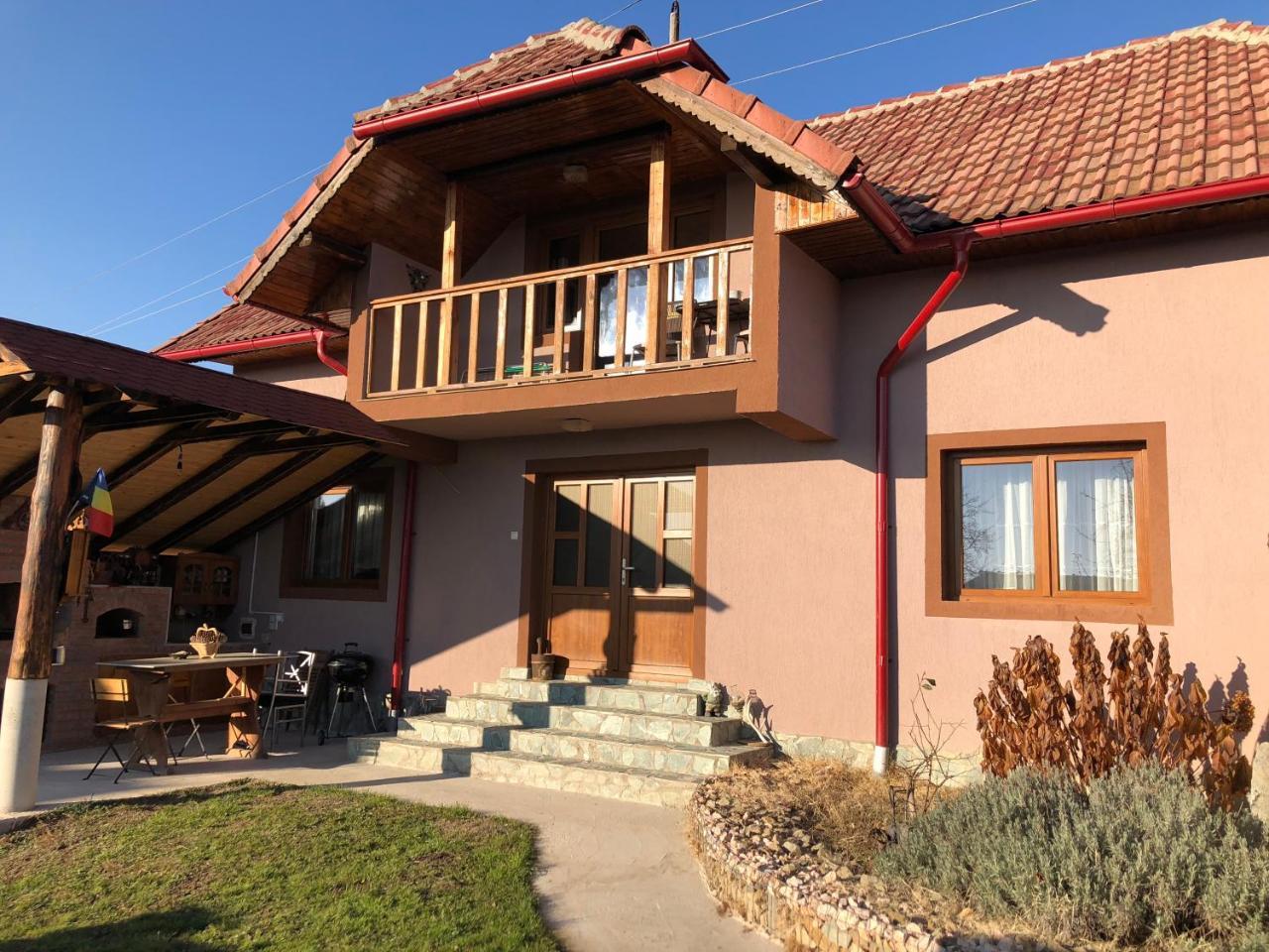Willa Casa Darius Novaci-Străini Zewnętrze zdjęcie